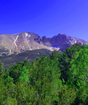 Wheeler Peak from a distance